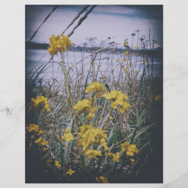 papier scrapbook feuille de fleurs de birchbay (Devant)