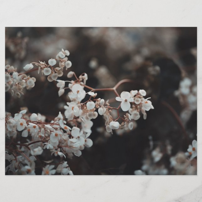 Papier scrapbook floral lunatique (Devant)