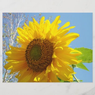 Papier scrapbook tournesol Jaune Floral été