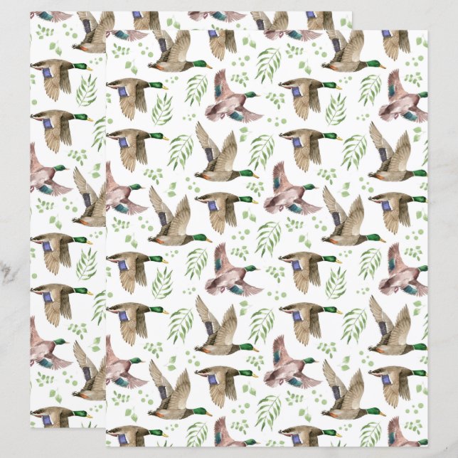 Papier scrapbooking de canards colverts (Devant / Derrière)