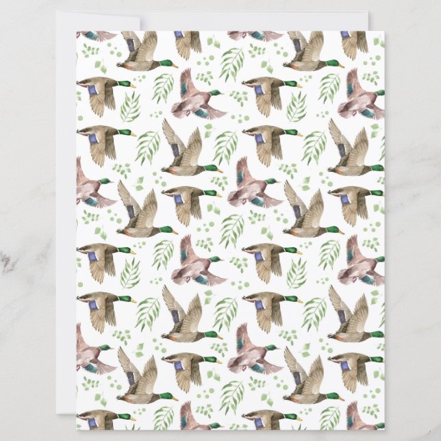 Papier scrapbooking de canards colverts (Devant)