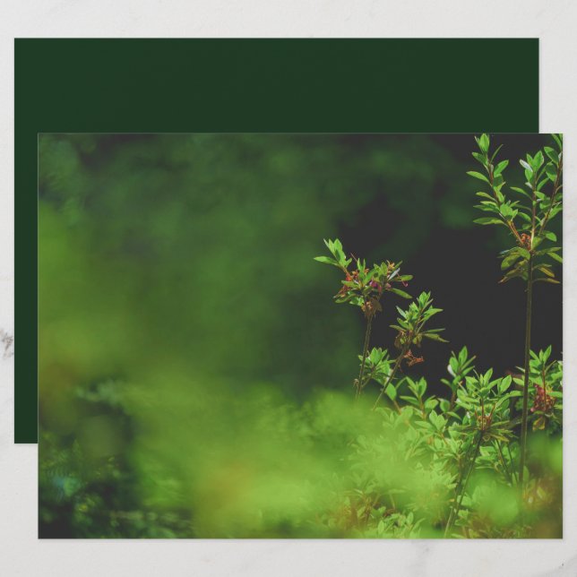 Papier scrapbooking de forêt vert foncé (Devant / Derrière)