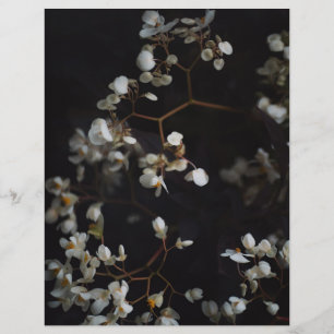 Papier scrapbooking élégant floral sombre et lunat