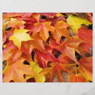 Papier scrapbooking feuilles d'automne Feuilles d'
