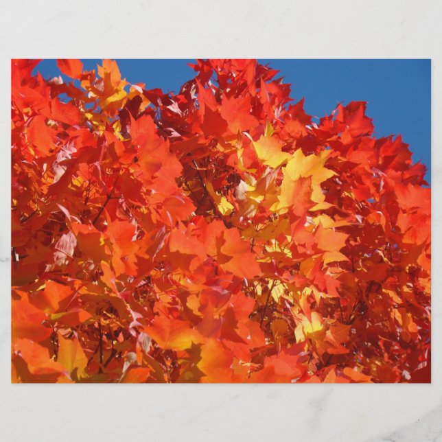 Papier scrapbooking feuilles d'automne Orange (Devant)