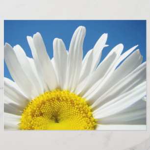 Papier scrapbooking Fleurs de marguerite blanche C