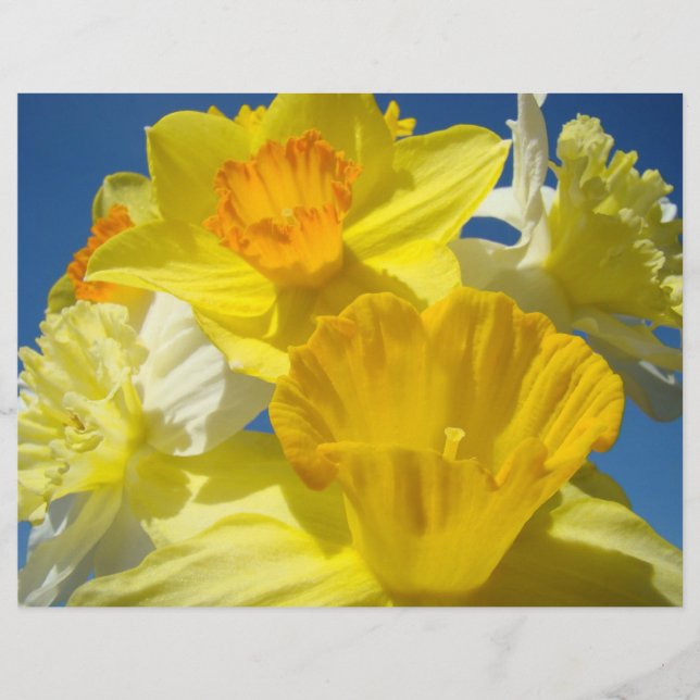 Papier scrapbooking Fleurs Jaunes Jonquilles (Devant)