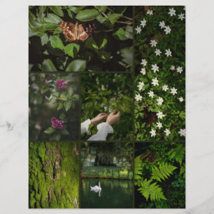 Papier scrapbooking Nature Core Vert Foncé