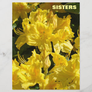 Papier scrapbooking SISTERS Fleurs Rhodies Jaunes