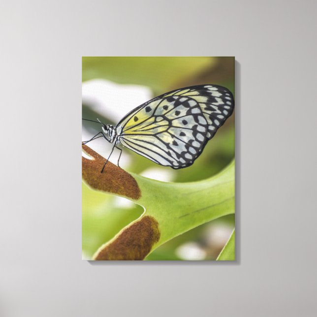 Papier vers le haut fermer l'impression de toile (Recto)
