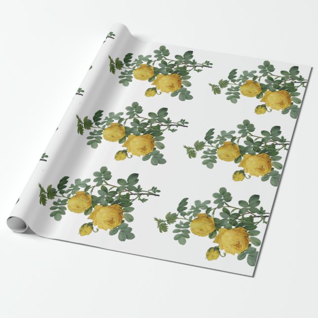 Papier vintage de cadeau de peinture de rose jaune (Déroulé)