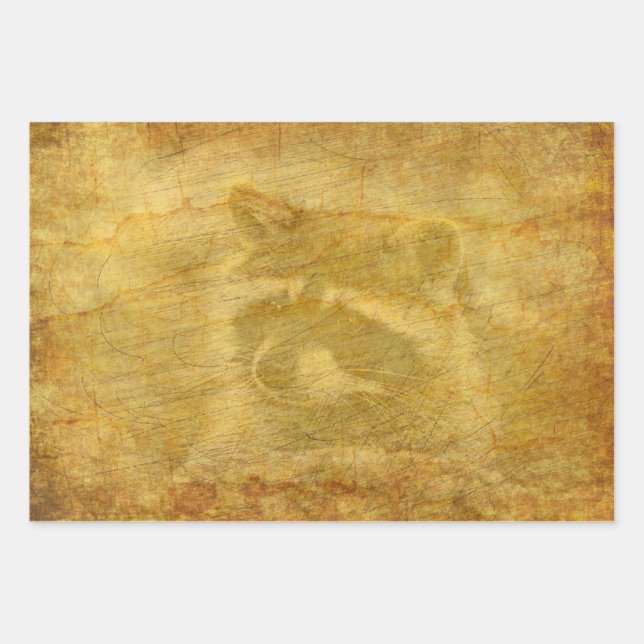 Papier Vintage Racoon (Devant)