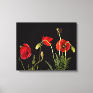 Papiers rouges sur toile noire