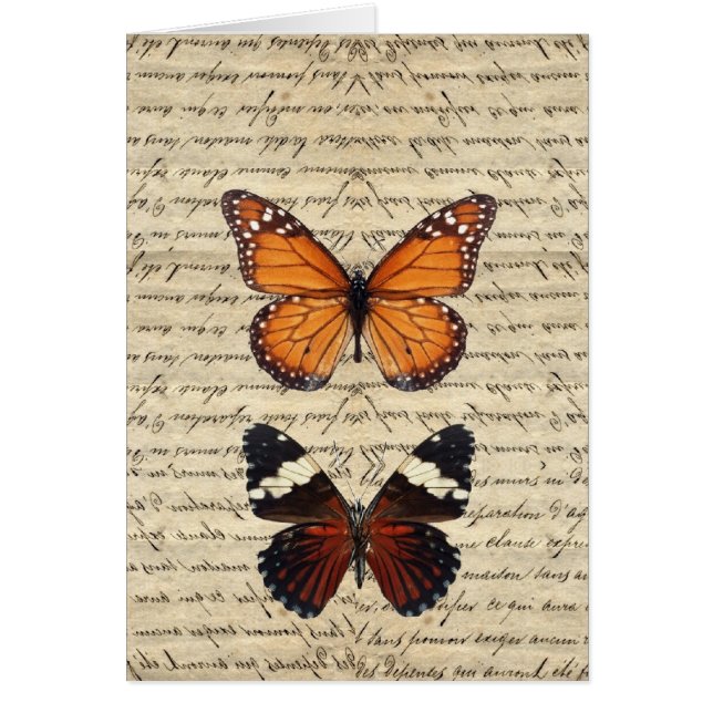 papillon (Devant)