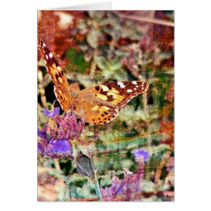 Papillon 2