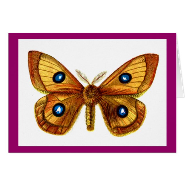 Papillon Aglia Tau (Devant horizontal)