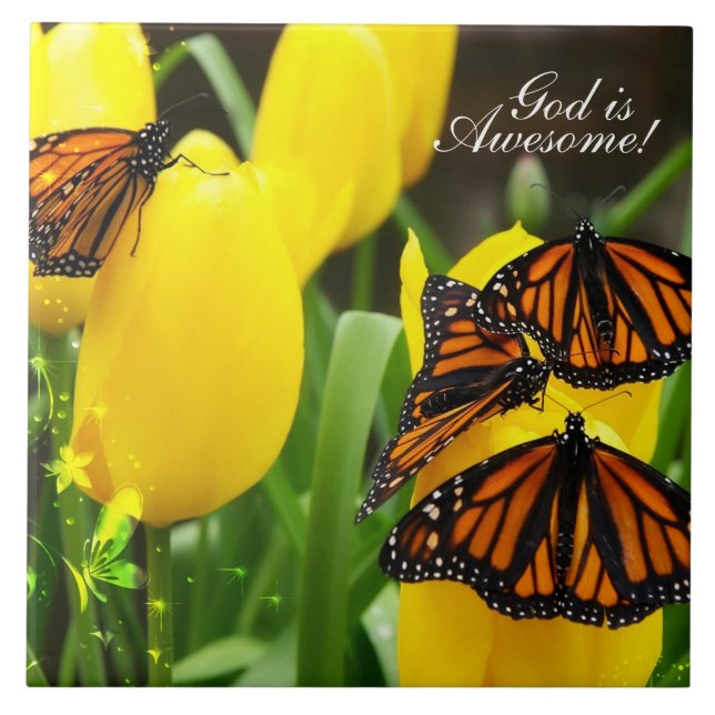 Papillon Art 22 Carreaux (Devant)