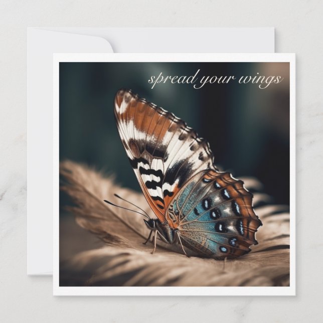 Papillon assis sur une plume douce (Devant)