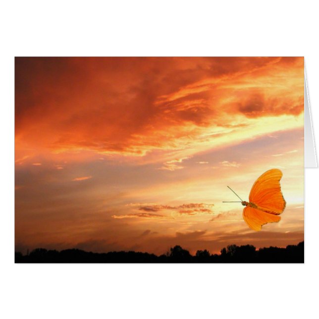 Papillon au coucher du soleil (Devant horizontal)