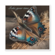 Papillon avec corps de design zèbre