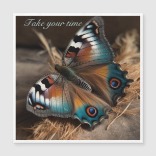 Papillon avec corps de design zèbre