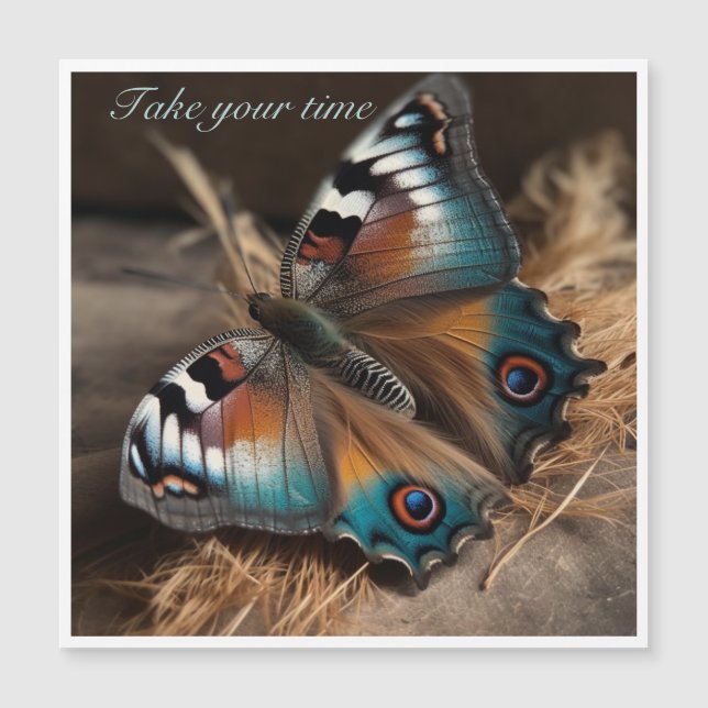 Papillon avec corps de design zèbre (Devant)