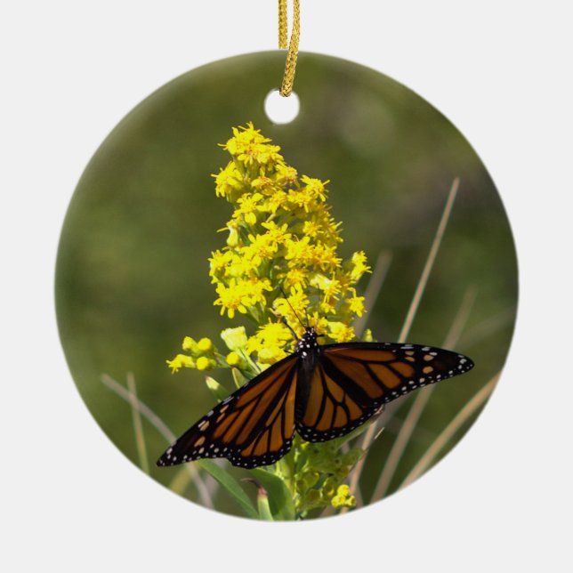 Papillon avec ornement Fleur sauvage jaune (Devant)