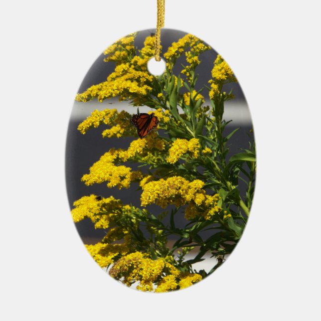 Papillon avec ornement Fleur sauvage jaune (Devant)