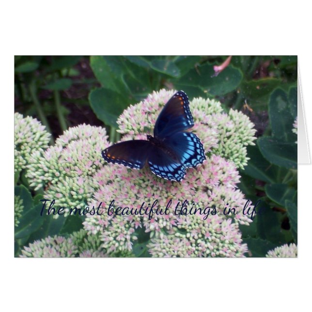 Papillon bleu (Devant horizontal)