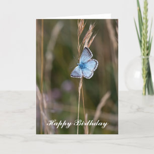 Papillon bleu Adonis - Carte Anniversaire