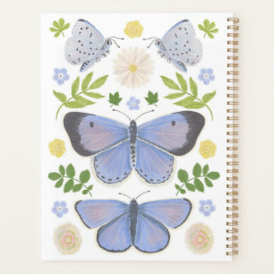 Papillon bleu creux