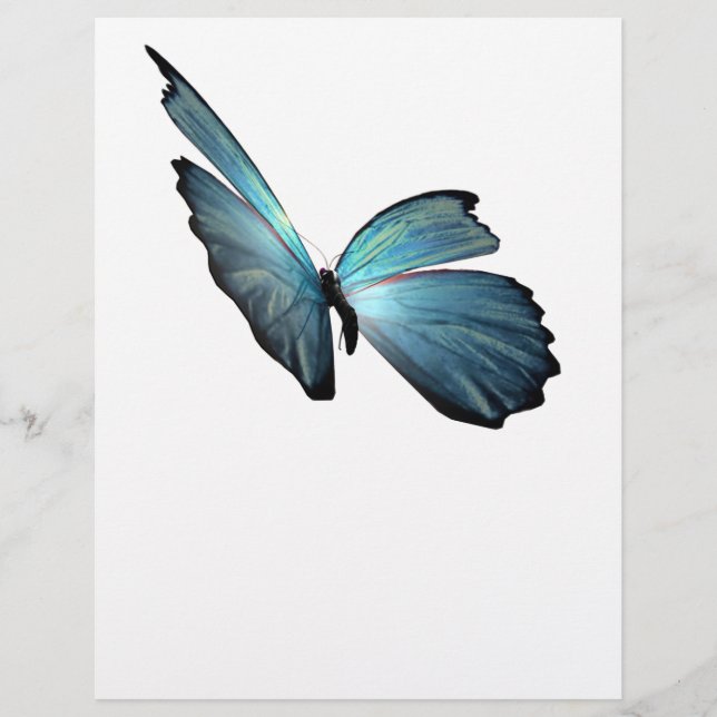 Papillon bleu Morpho (Devant)