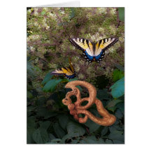 Papillon-Bonheur dans la transformation