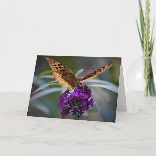 Papillon, carte (Devant)