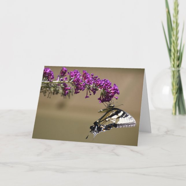 Papillon, carte (Devant)