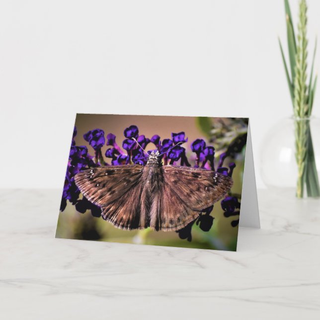 Papillon, carte (Devant)