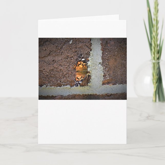 Papillon, carte (Devant)
