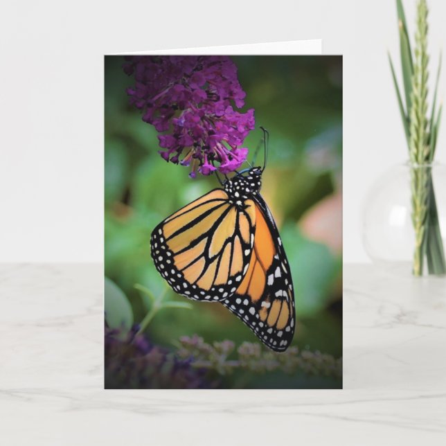 Papillon, carte (Devant)