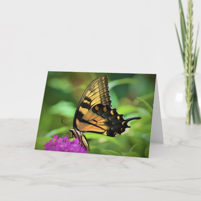 Papillon, carte (Devant)