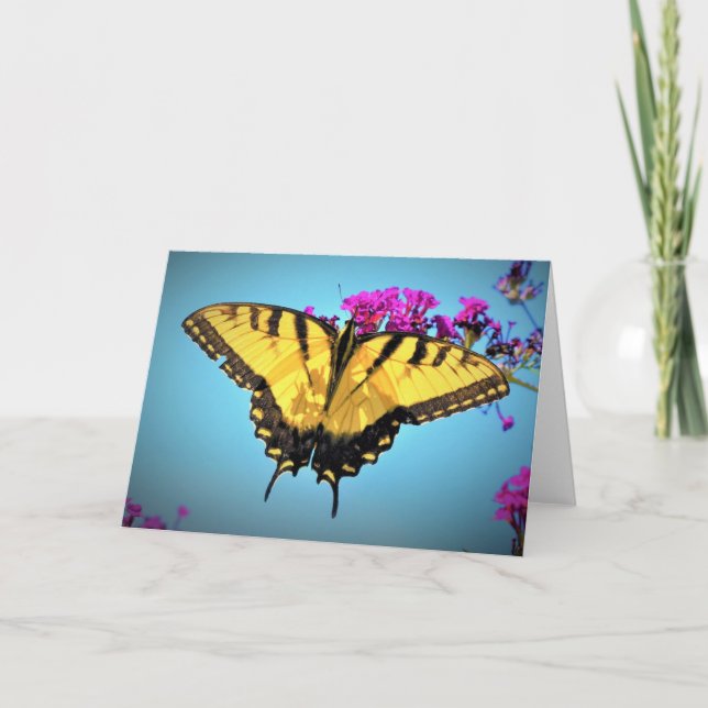 Papillon, carte (Devant)