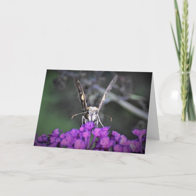 Papillon, carte (Devant)