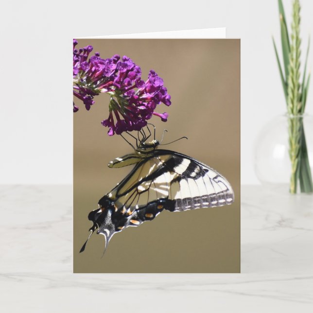 Papillon, carte (Devant)