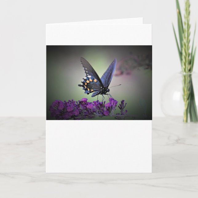 Papillon, carte (Devant)