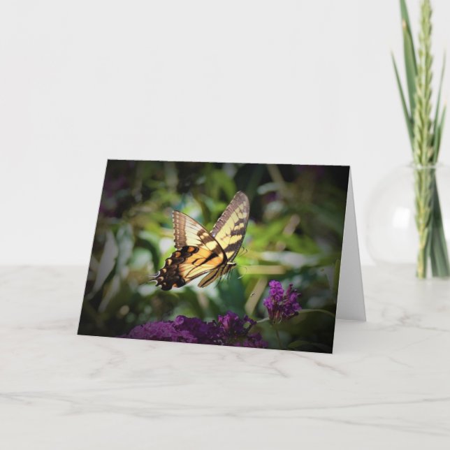 Papillon, carte (Devant)