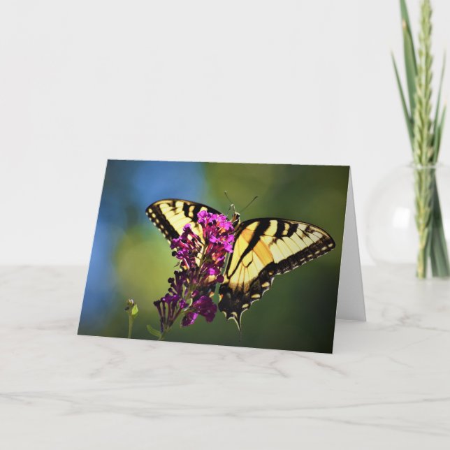 Papillon, carte (Devant)