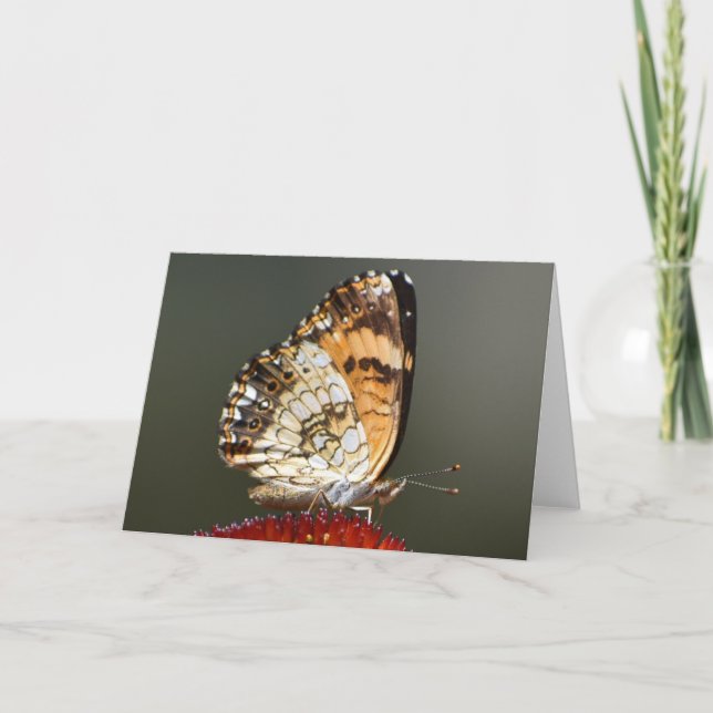 Papillon, carte (Devant)
