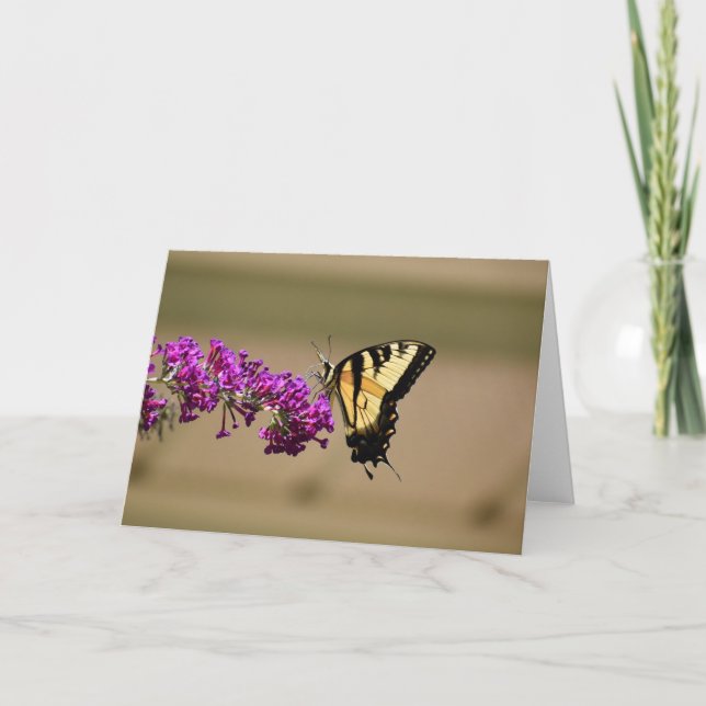 Papillon, carte (Devant)