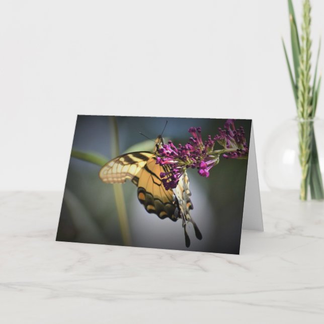 Papillon, carte (Devant)