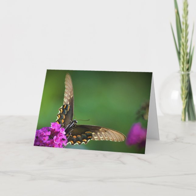 Papillon, carte (Devant)