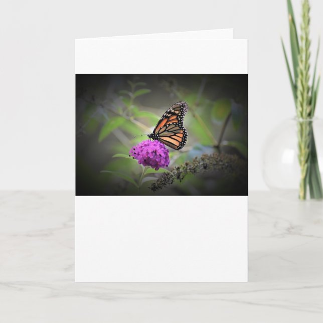 Papillon, carte (Devant)